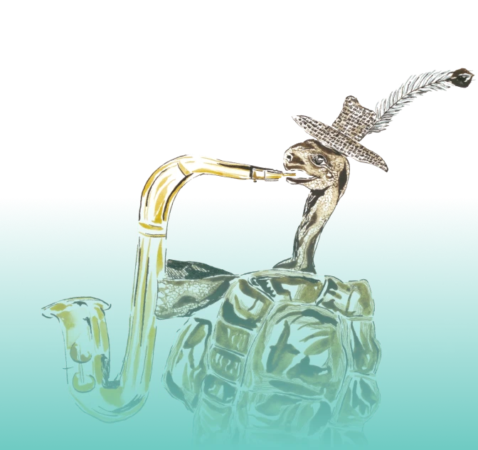 O jabuti não tá nem aí