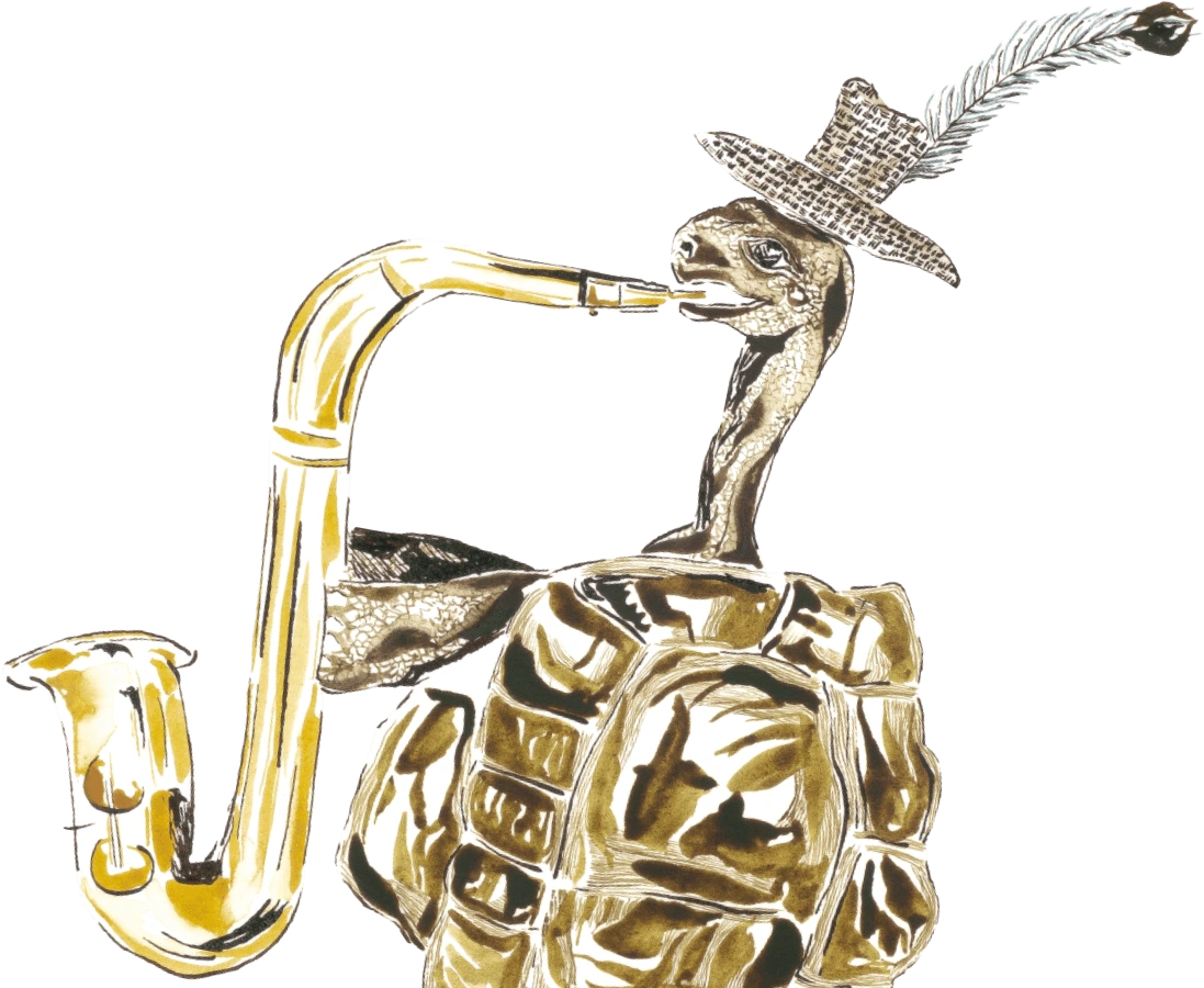 O jabuti não tá nem aí